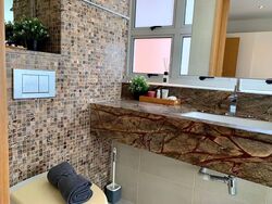The Axis (D11), Apartment #576696811